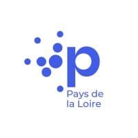logo pépite